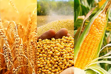 Agricultural products